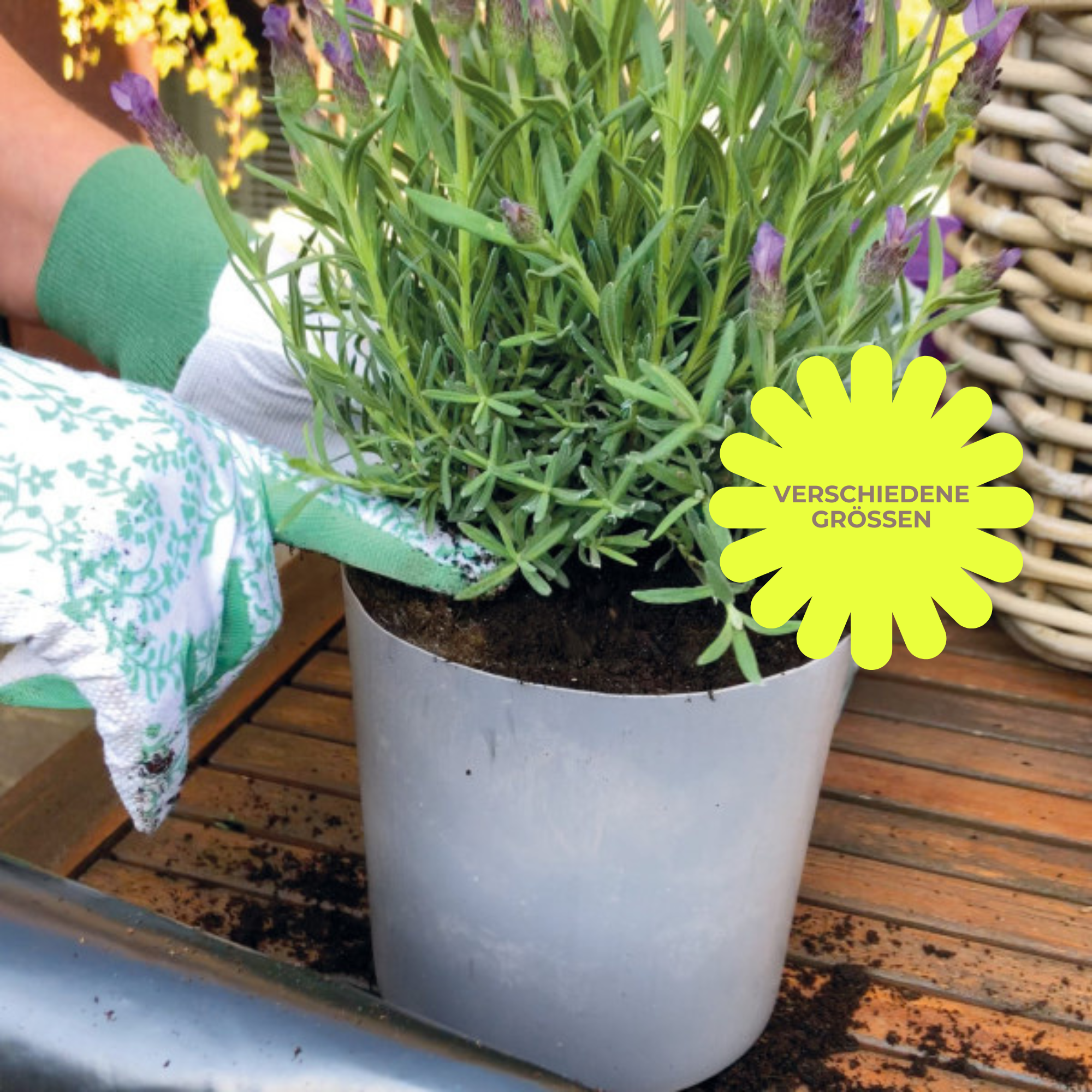Pflanzeinsatz wasserdicht, Topfeinsatz für Blumentopf, Pflanzeinsatz transparent, verschiedene Größen