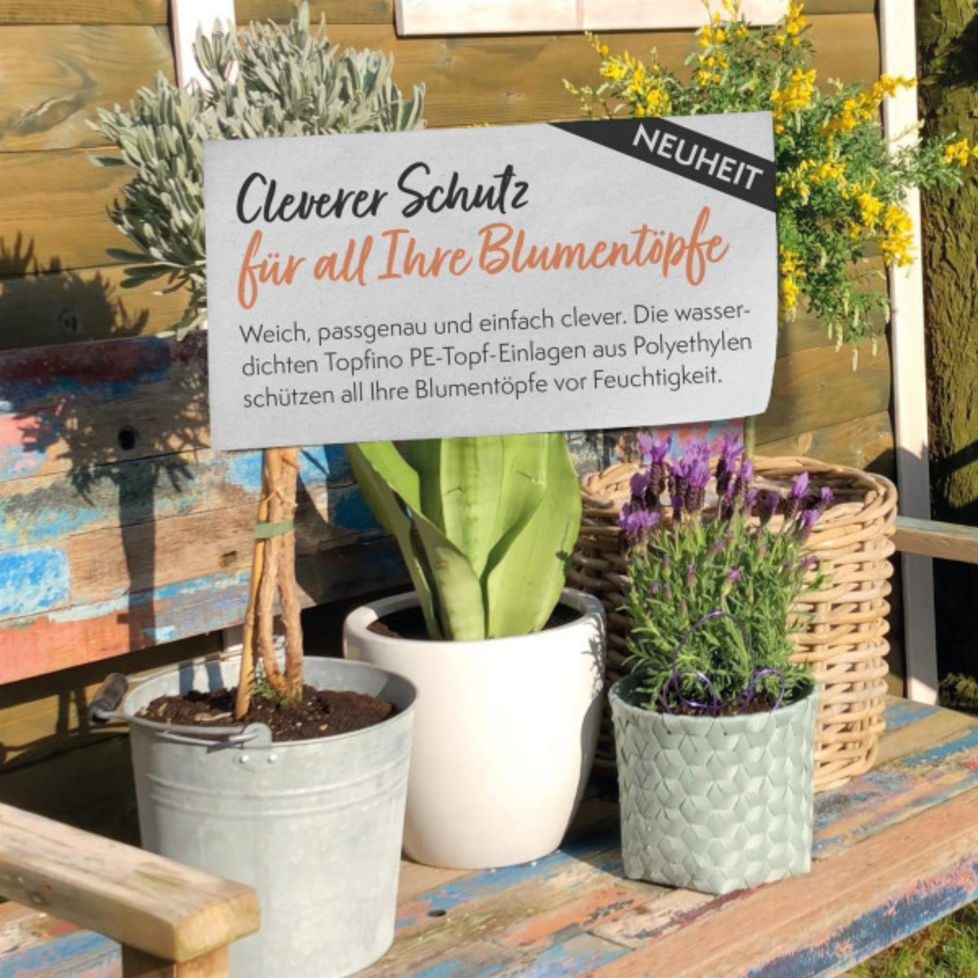 Pflanzeinsatz wasserdicht, Topfeinsatz für Blumentopf, Pflanzeinsatz transparent, verschiedene Größen