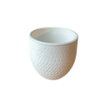 Weiße Schuppen 14 x 14 cm